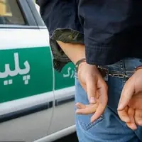 دستگیری مردی که در مقابل چشم پلیس زورگیری کرد