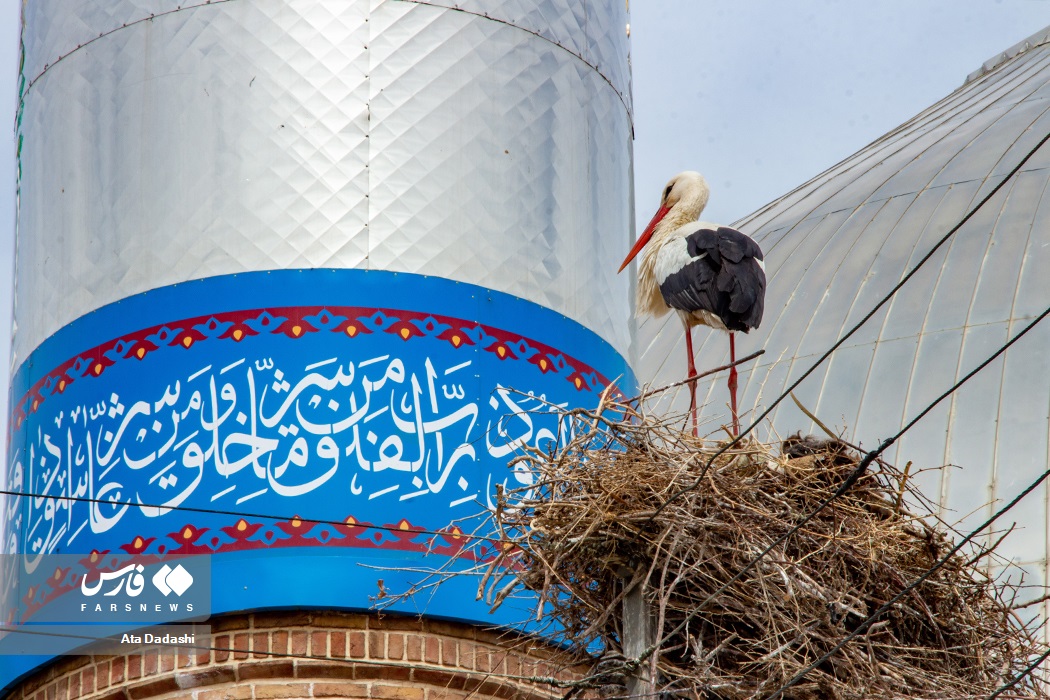 عکس/ مهمانان آفریقایی روستای «مایان‌ِ سفلی»