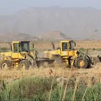 مزارع آلوده گندم و جو در حومه شیراز تخریب شد