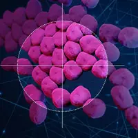 دستاورد هوش مصنوعی؛ شناسایی آنتی‌بیوتیکی که با عفونت‌های مقاوم به دارو مبارزه می‌کند
