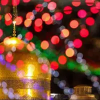 ویدئو/ حال و هوای مشهد در شب میلاد امام رضا(ع) 