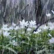 بارش رگباری باران در جنوب شرق فارس