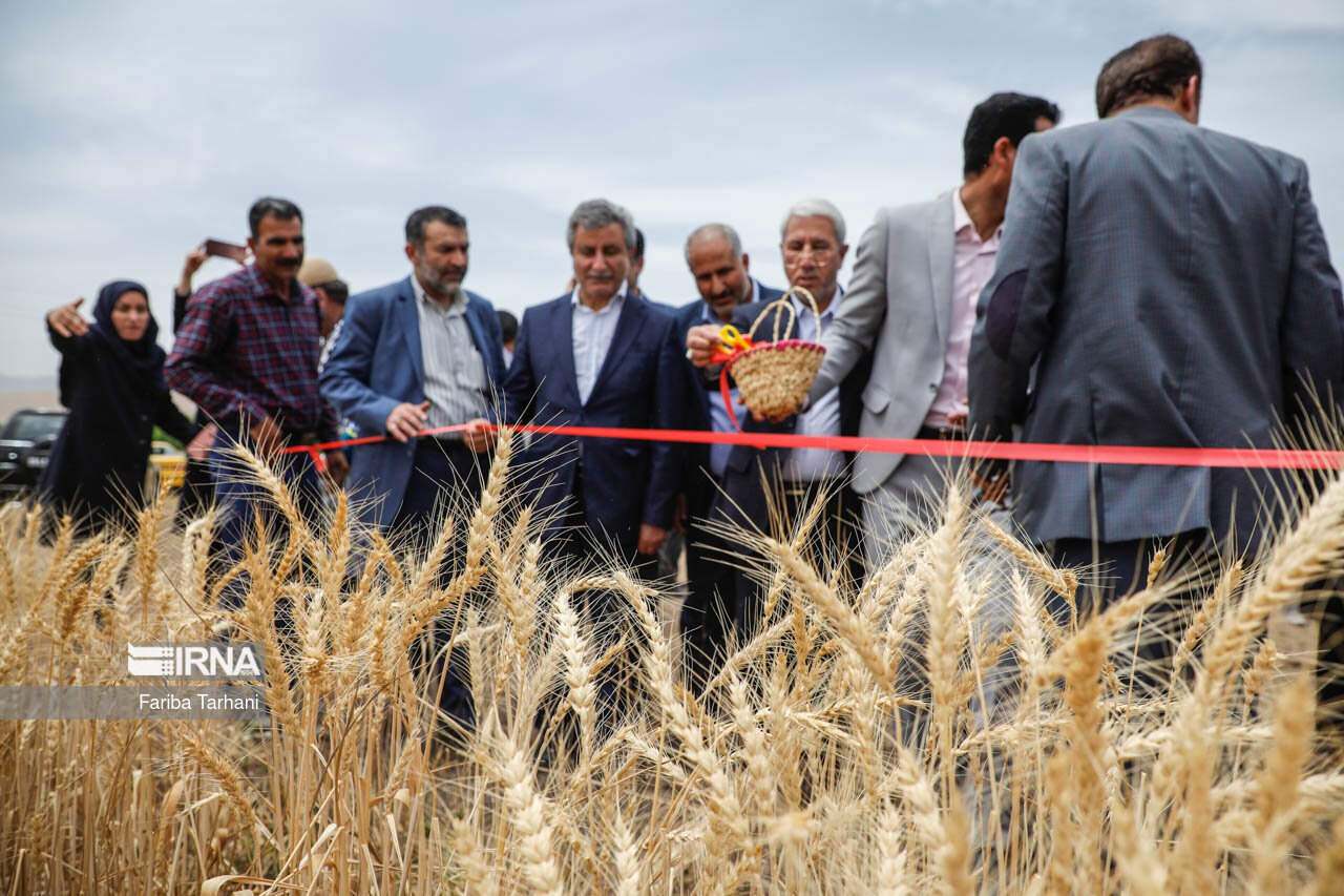 آیین شکرگزاری سال زراعی در لرستان