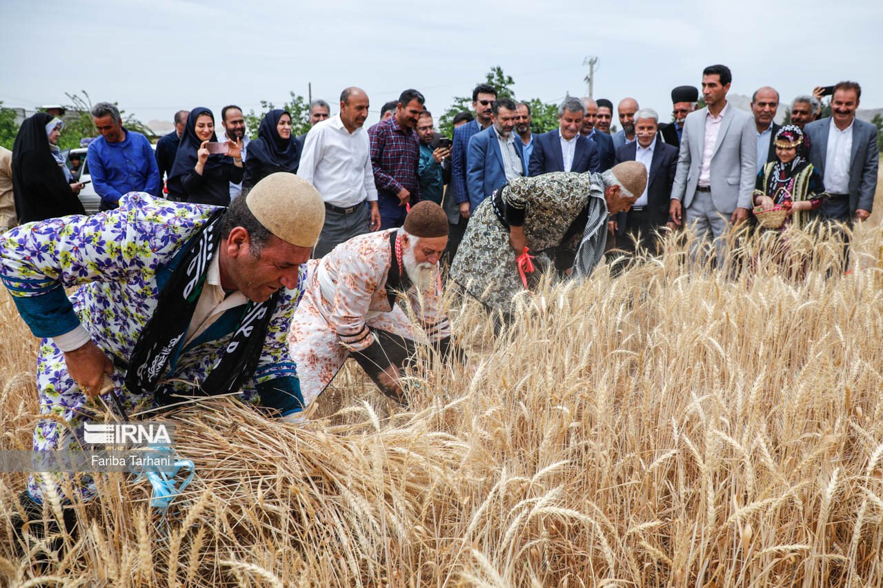 آیین شکرگزاری سال زراعی در لرستان
