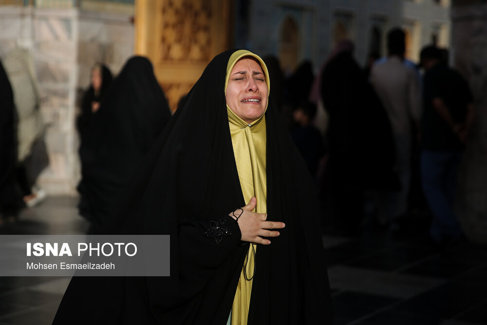 عکس/ شاه خراسان؛ "سلام"