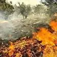 مهار آتش‌سوزی در مناطق رودرونه و شلال‌دون باشت