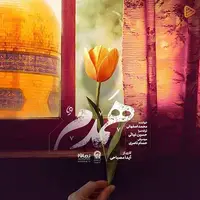 موزیک ویدئوی «همدم» با صدای محمد اصفهانی به مناسبت میلاد امام رضا (ع)