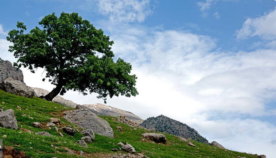 پایداری وضعیت جوی در خراسان رضوی