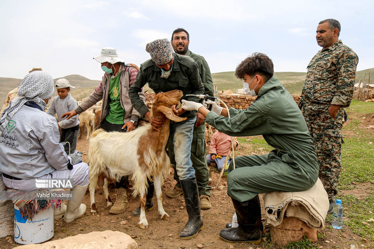 اردوی جهادی پزشکی عشایری