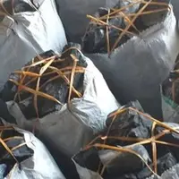 قاچاقچی زغال جنگلی نقره‌داغ شد