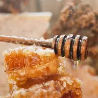 تولید سالانه ۱۰۵ تن عسل در سروآباد