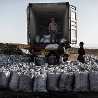 کشف یک تن زغال درختان جنگلی و غیرجنگلی در استان کرمانشاه