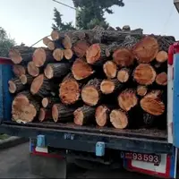 توقیف ۵ تُن چوب قاچاق در شهرستان دهلران