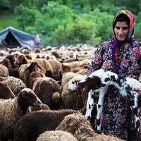 نخستین رویداد بزرگ عشایری گیلان
