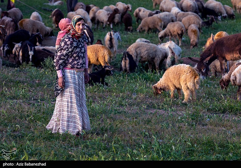 از قشلاق تا کوچ برای ییلاق عشایر لرستان  