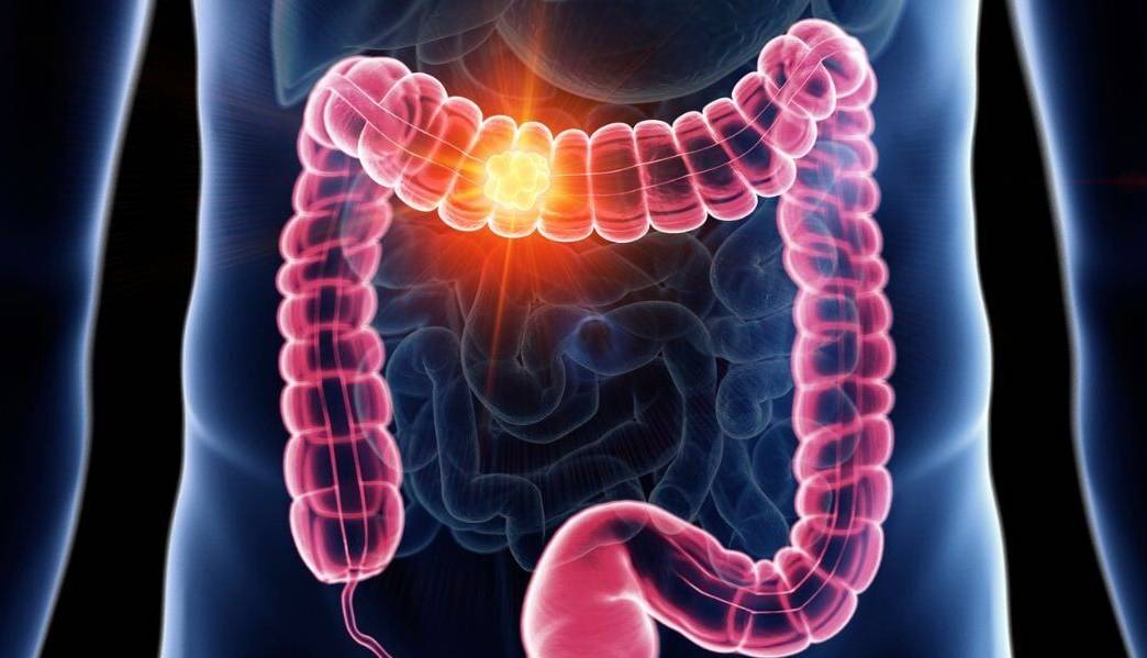 ویروس های روده به افزایش طول عمر افراد کمک می کنند