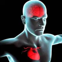 ارتباط ریسک بالای بیماری های قلبی با عملکرد ضعیف تر شناختی  
