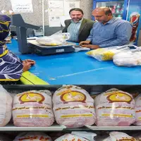 توزیع مرغ منجمد در سیستان‌ و بلوچستان ادامه دارد