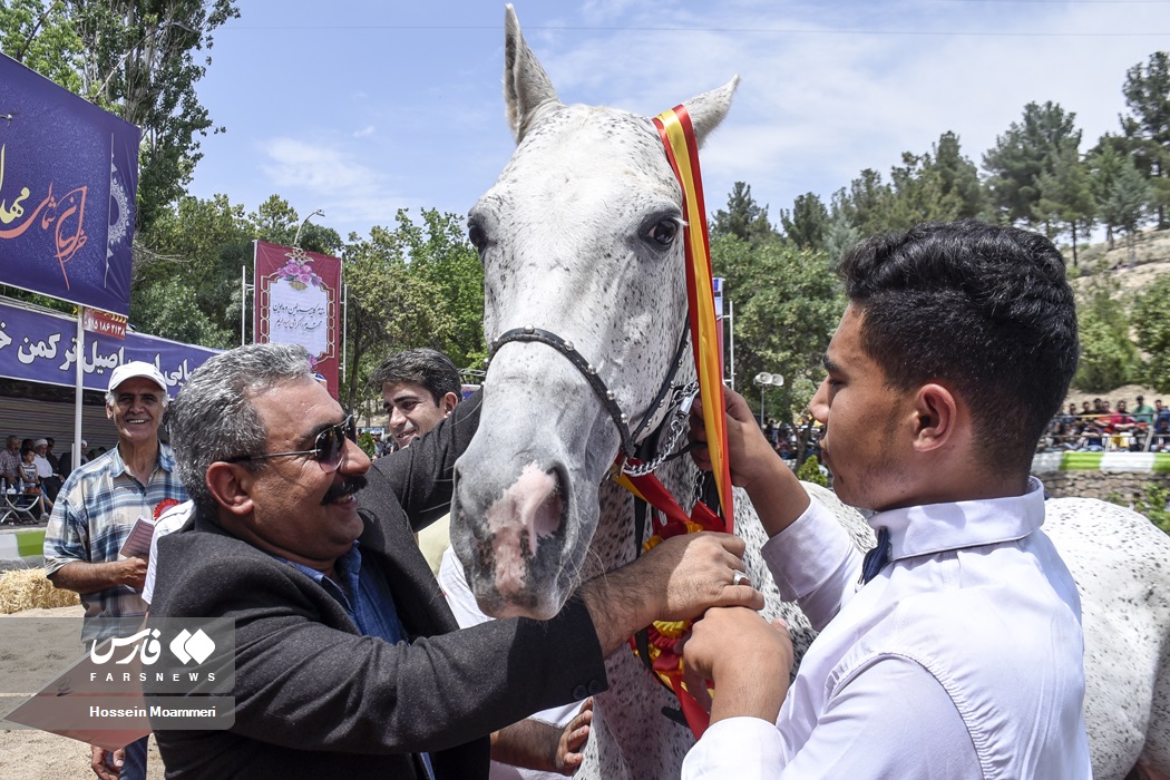 عکس/ جشنواره ملی اسب اصیل ترکمن در بجنورد