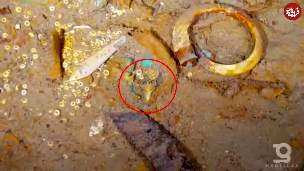گوناگون/ یک کشف عجیب در کشتی «تایتانیک»؛ دندان کوسۀ 20 میلیون ساله!