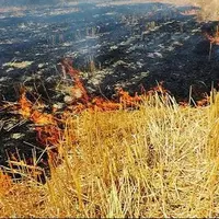 آتش‌سوزی وسیع در مزارع گندم ایلام 