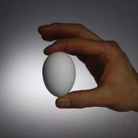 ویدئویی جالب از شکستن تخم مرغ در زیر آب