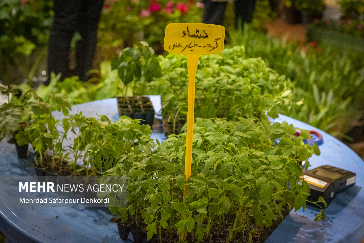 نمایشگاه تخصصی گل و گیاهان زینتی در شهرکرد