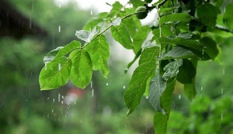 وزش باد و بارش باران در استان قم