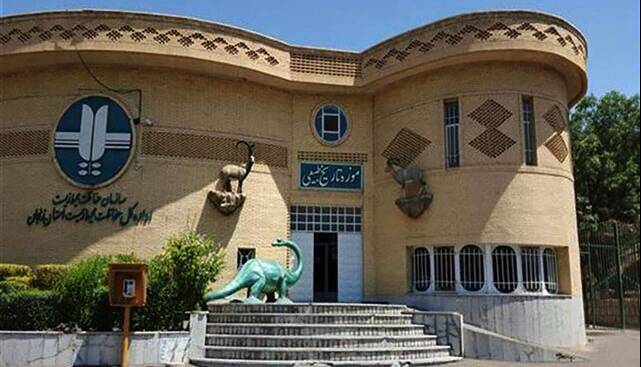 بازدید رایگان از موزه تاریخ طبیعی زنجان