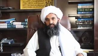 پروتکل طالبان برای ریش آقایان؛ پخش موسیقی در تالار عروسی ممنوع است