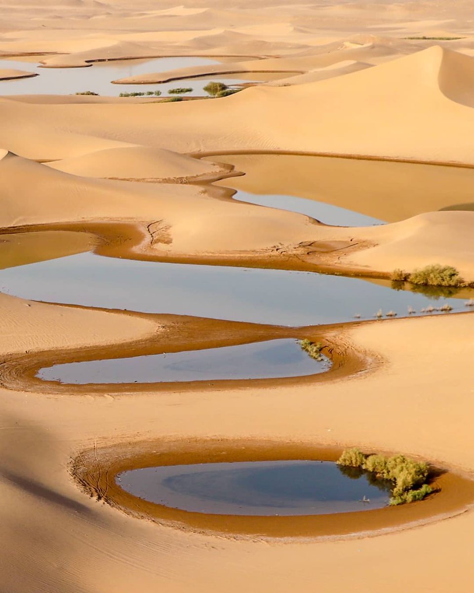 تالاب زیبای پساب در یزد