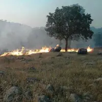 جنگل‌های دنا در آتش می‌سوزد؛ حریق در مراتع منطقه دارشاهی