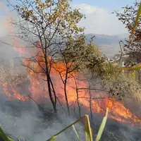 آتش‌سوزی مزارع شهرستان دنا مهار شد