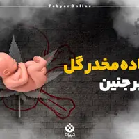 اینفوگرافی/ تأثیر ماده مخدر گل بر جنین