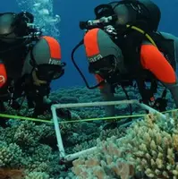 صخره های مرجانی، تنوع زیستی پنهان زمین را آشکار می کنند