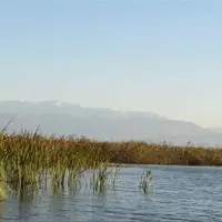 تالاب «آلماگل» جان گرفت