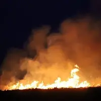 آتش به جان مزارع دزپارت افتاد
