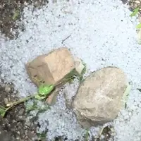 ویدئو/ بارش تگرگ در فارغان باعث خسارت به باغات شد