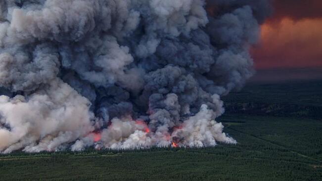 آتش سوزی گسترده جنگلی در ایالت بریتیش کلمبیا کانادا