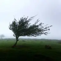 تندباد و گردوخاک اصفهان را فرا می‌گیرد