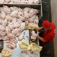 لزوم افزایش کیفیت نان و یکسان شدن نرخ مرغ در خراسان شمالی