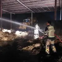 آتش در انبار گاوداری فارسیان خاموش شد