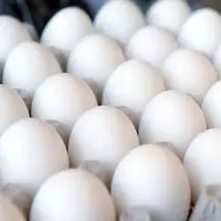 اقتصادآنلاین: مردم از سال ۱۴۰۰ به جای مرغ و گوشت، بیشتر تخم‌مرغ می‌ خورند