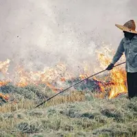 کاهش ۴۰ درصدی سوزاندن بقایای محصولات کشاورزی در گلستان