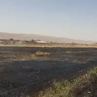 پنج هکتار از مزارع گندم در گیلانغرب طعمه حریق شد