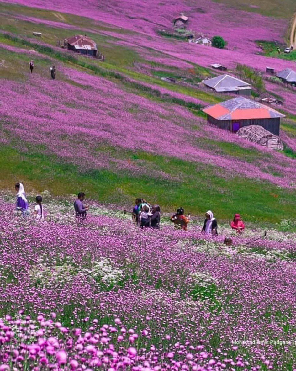 تصاویری دیدنی از جاده اسالم به خلخال گیلان