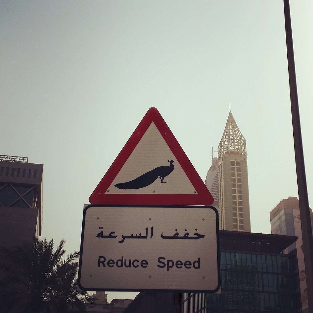 عجیب ترین تابلو در خیابان های دبی!