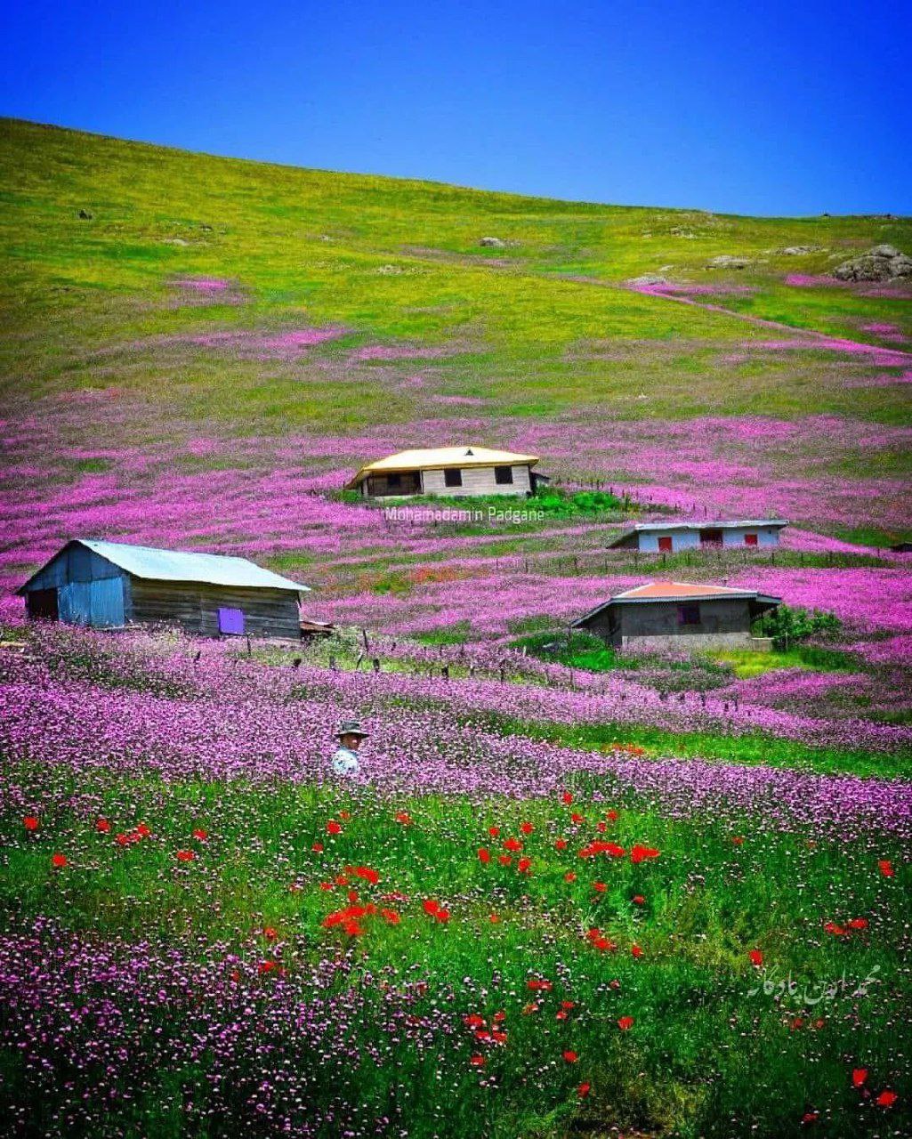 تصاویری دیدنی از جاده اسالم به خلخال گیلان