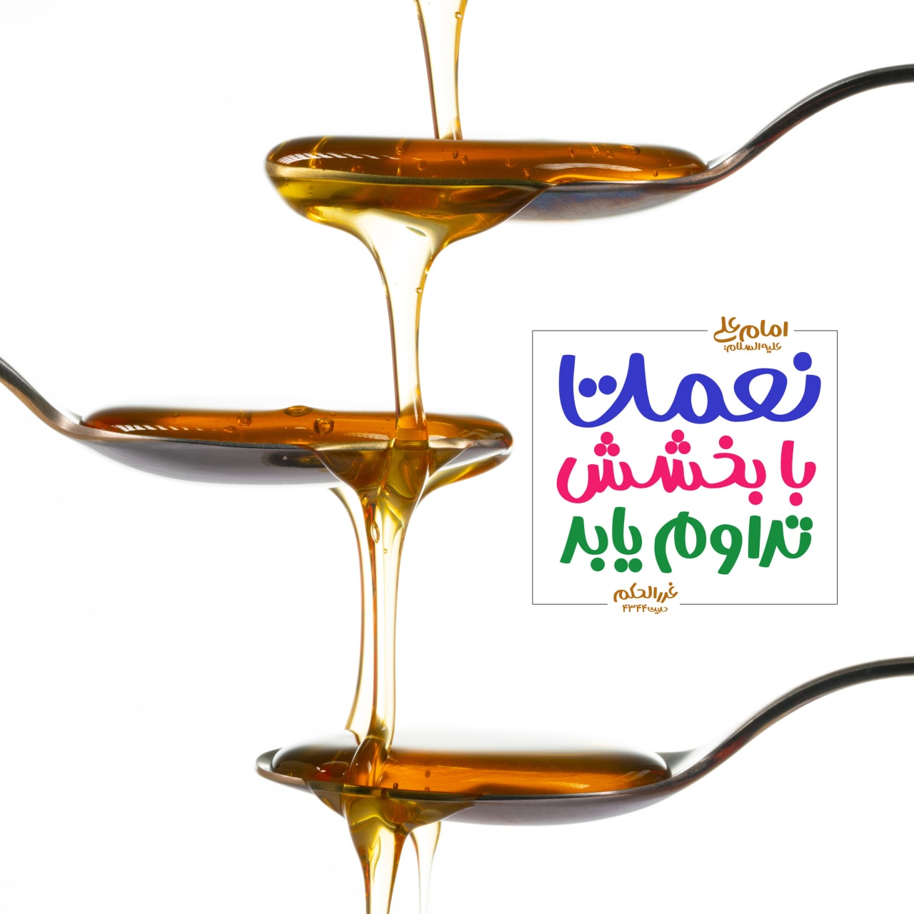 طرح/ نعمت با بخشش، تداوم یابد