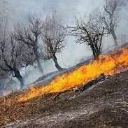آتش‌سوزی در مراتع منطقه حفاظت شده‌ بوزین و مرخیل پاوه